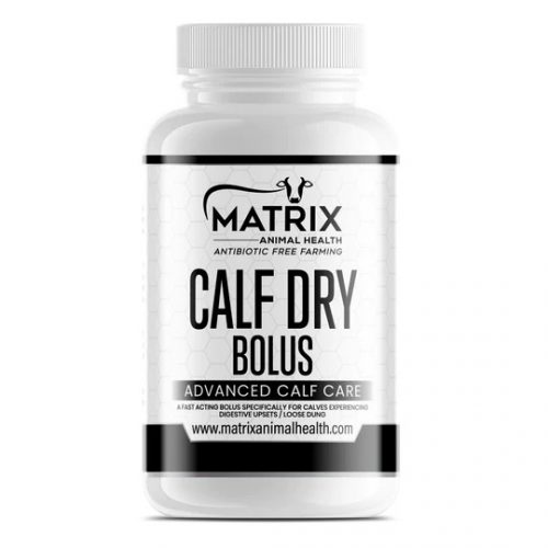 Calf Dry