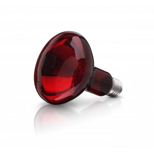Infra Red Bulb