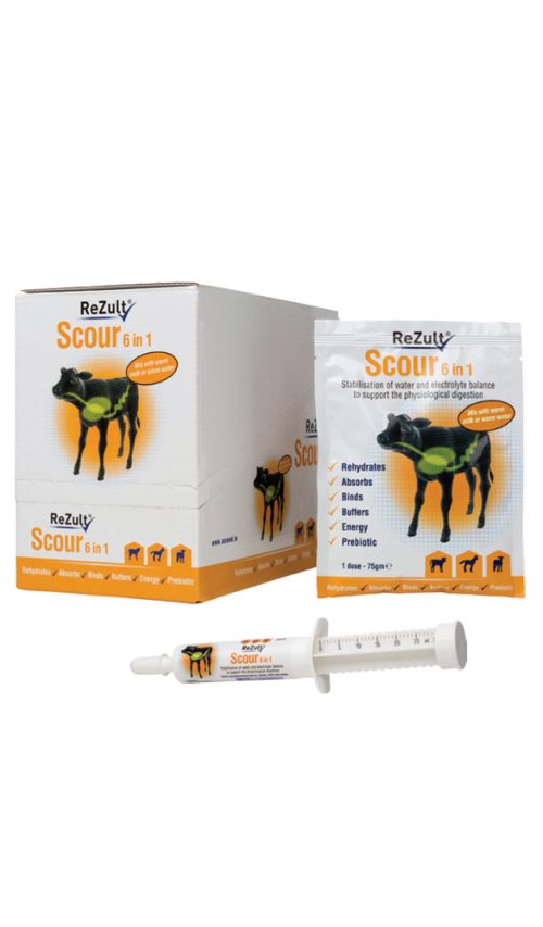 Rezult Scour 6 in 1 sachets 12's